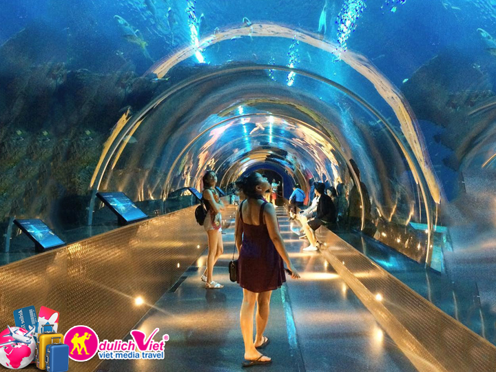 Vé tham quan Singapore Sea Aquarium giá khuyến mãi mua 4 tặng 1